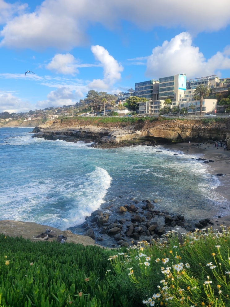  샌디에고 (San Diego)1박 일정ㅣ LA에서 샌디에고 꿀팁 / 허츠 렌트카 / 무료 주차 / 맛집 추천 / 가성비 숙소