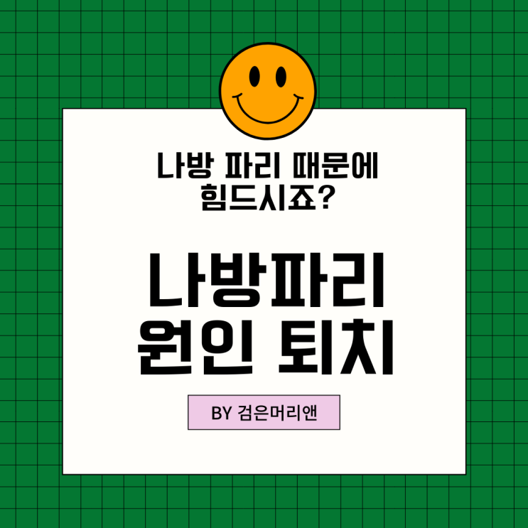  나방파리 원인 퇴치 박멸 저희집에 나방파리 한 마리도 안보여요