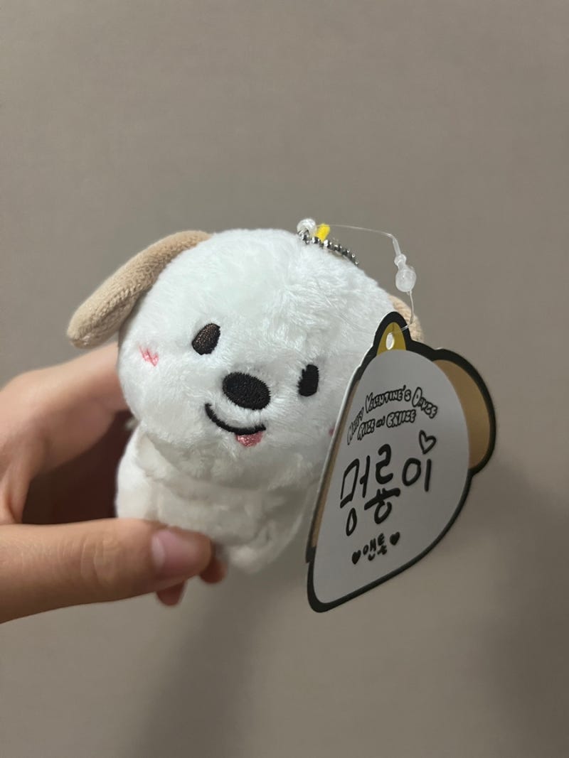 RIIZE Anton Meongryongi Keychain Review | RIIZE 10cm Doll Keychain & Kakao Friends Shop Goods Review