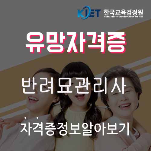  반려묘관리사 취득 후 고양이 수명과 건강 유지