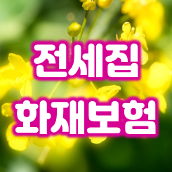  전세집 화재보험 가입을 해야 하는 이유와 가격 비교 시 알아둘 점