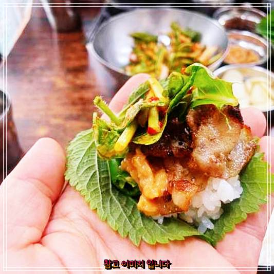  생방송오늘저녁 : 대구 칠성시장 정화네하우스 의 석쇠불고기과 고추장불고기 돼지불백 맛집 새롭게 발견하기