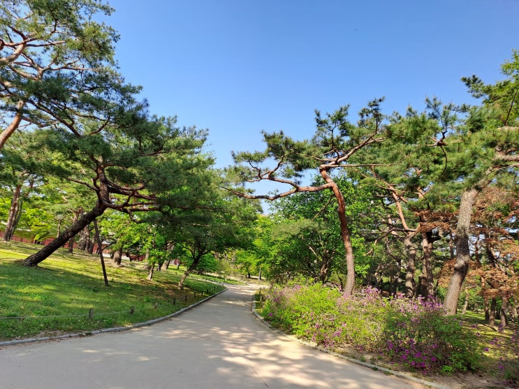 조선의 궁궐 고궁 산책 창경궁