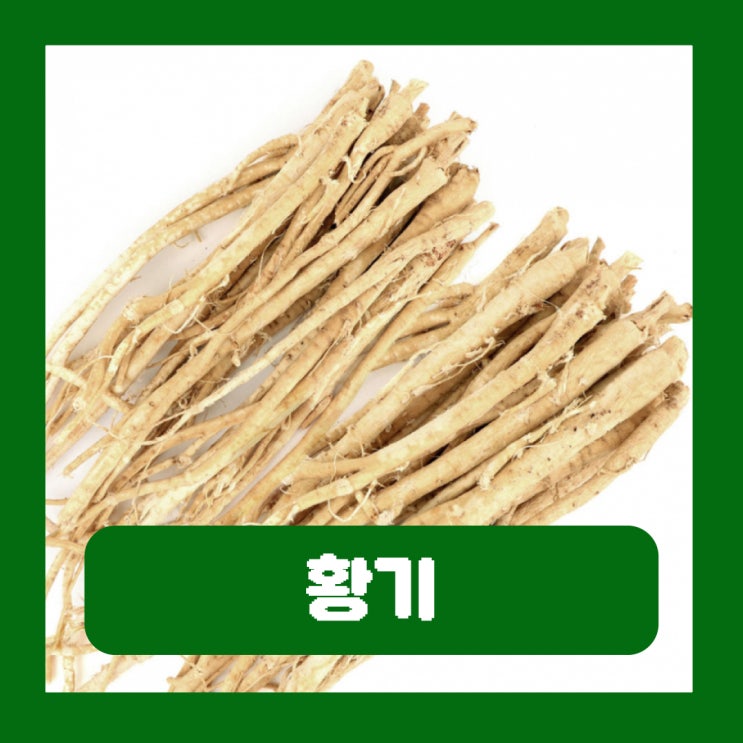  황기차 만드는법 황기의 효능 부작용 황기추출물 아이 키 성장