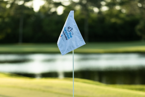 <b>고진영</b> 방신실 신지애 LPGA 더 <b>셰브론 챔피언십</b> 우승향해 출격