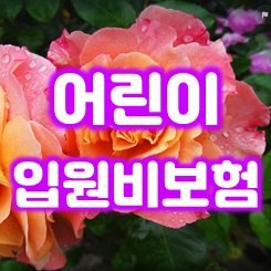  어린이입원비보험 가입 시 종류와 가격 비교할 때 유의해야 할 점을 알아봤어요.