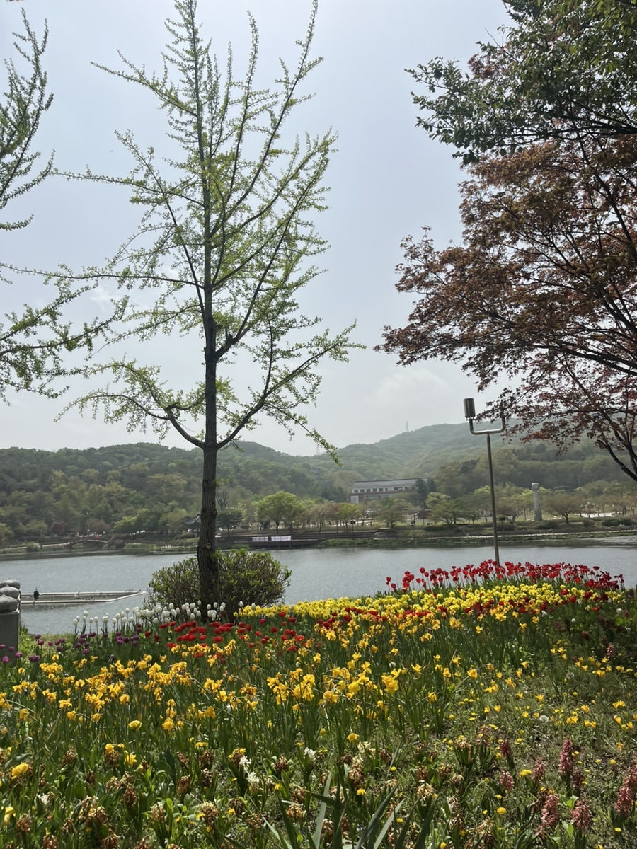 그래시커피 사진 3