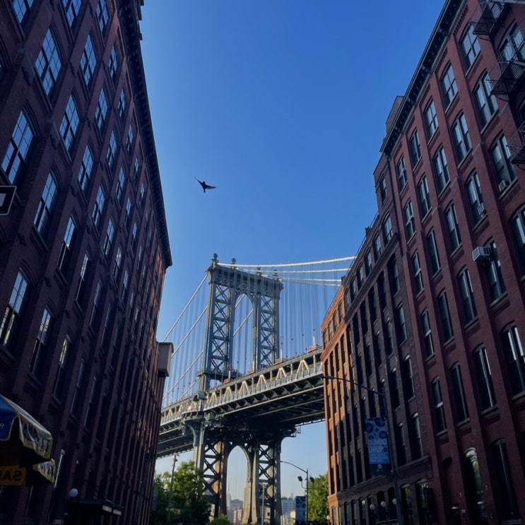  뉴욕 2박3일 여행 (#2일차)앳홈트립스마트패스/ 써밋원 /브루클린 / 덤보