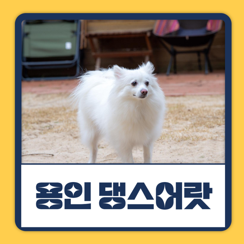 사진 7