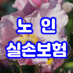  노인실손보험 종류 및 가입 가능한 나이와 가격 비교 하실 때 주의사항