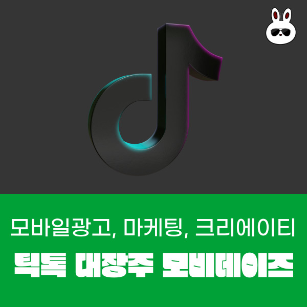  틱톡 대장주 모바일광고,마케팅회사 모비데이즈