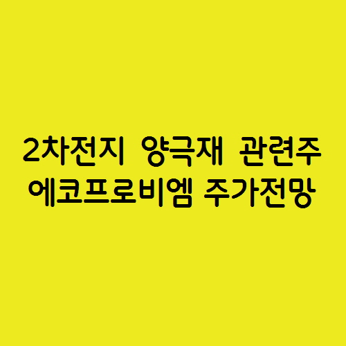  2차 전지 양극재 관련주 에코프로비엠 주가 전망