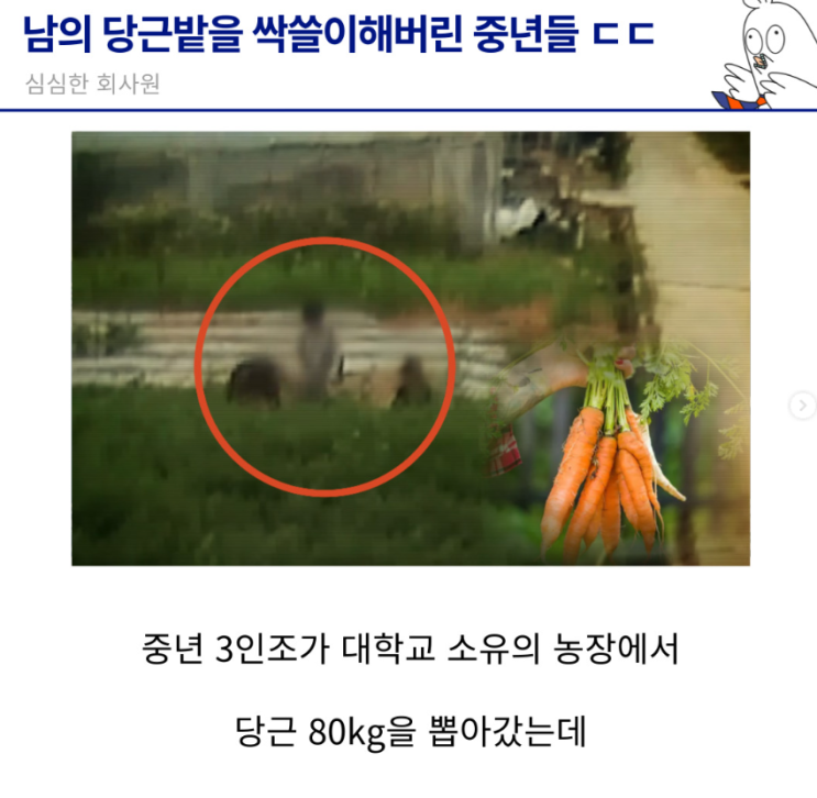  남의 당근밭을 서리한 중년들