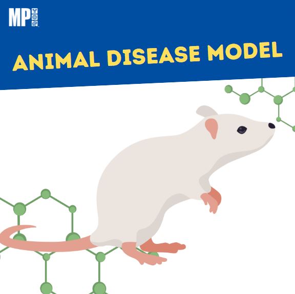  인간의 질병을 가진 동물 모델 구축 (Animal disease model)