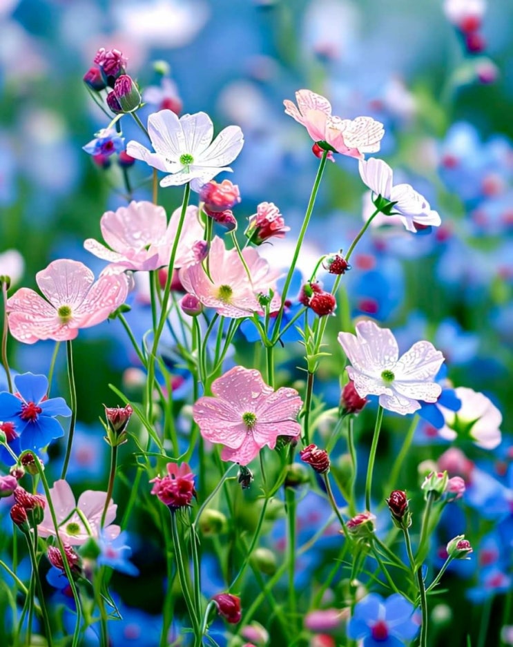   오늘의 생활정보 (2024-04-17, 수)