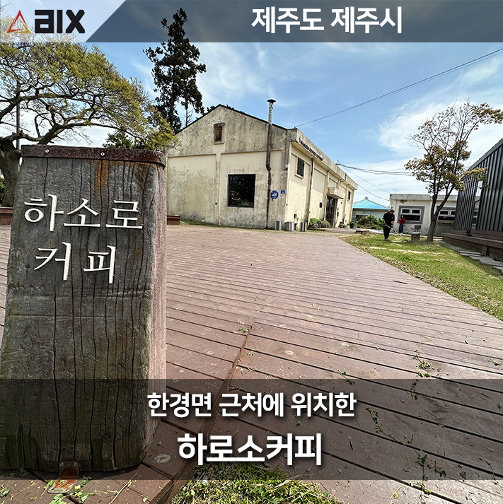  하로소 커피: 제주도의 조용한 카페에서 경험하는 커피의 풍미