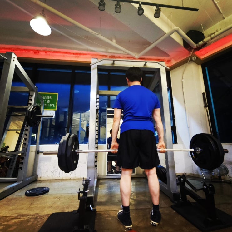 머슬핏 상체 등근육 240416 만드는 등 운동 머슬핏 상체 등근육 240416 만드는 등 운동