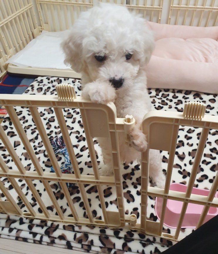  출생의 비밀