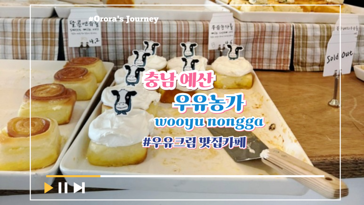  충남 예산 예쁜 카페 아그로랜드 태신목장 근처에 있는 카페 우유농가