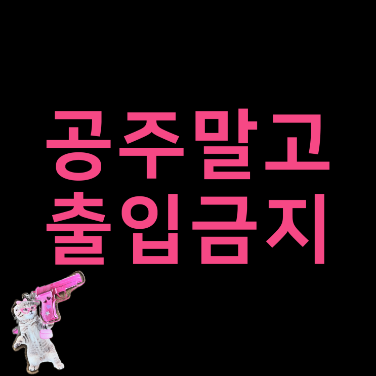  [공주 전용] 2024년 하이틴 공주님들을 위한 BEST 디자인 폰 케이스 소개해 드릴게요!