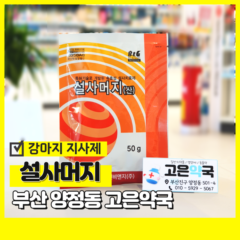 부산 동물약국 설사머지 강아지 설사 장염 지사제