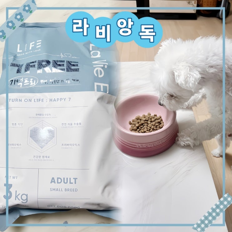  건강한 강아지 유산균 사료 3개월 자가품질 검사하는 믿을 수 있는 라비앙독 기억프리 어덜트 말티즈 급여 후기