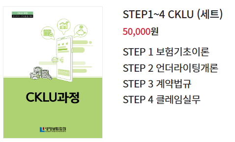 비전공자의 2024 CKLU 합격 후기(직장 병행)│요약 PDF, 공부 과정, 2024 개정 시험 후기 : 네이버 블로그