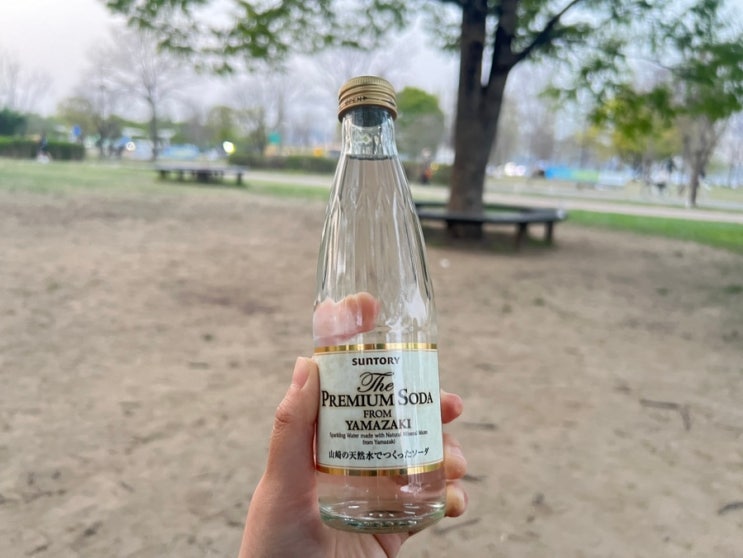  일본 음료수 대표 추천 산토리 탄산수, 논알콜 레몬 사와, 기린 솔티 리치 : 가격, 정보