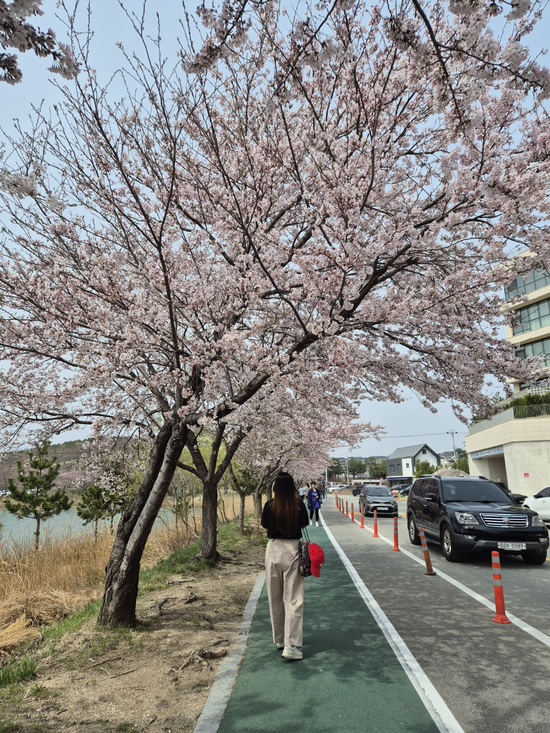  [강원도여행] 2박3일 고성/속초여행_2