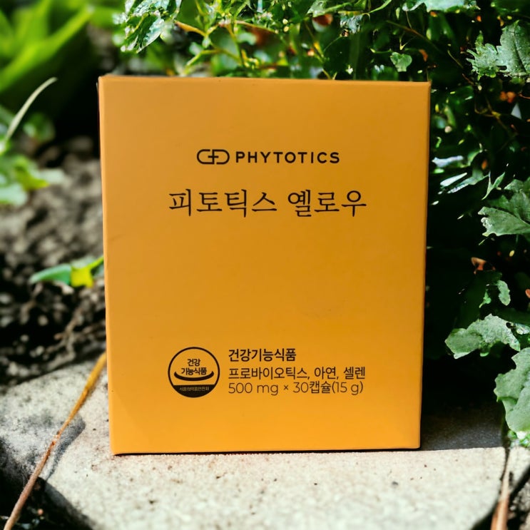  피토틱스 옐로우 꾸준히 챙겨먹는 면역유산균 후기