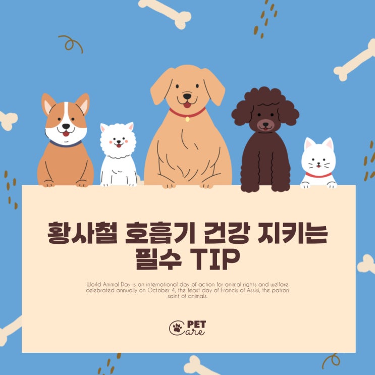  황사철 호흡기 건강 지키는 필수 tip