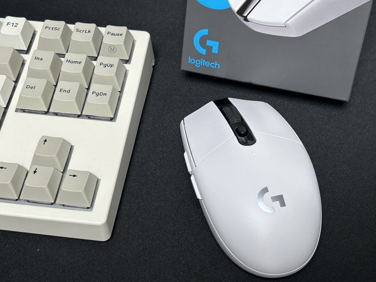  배린이의 로지텍 G304 무선 마우스 사용 후기 (DPI 설정)