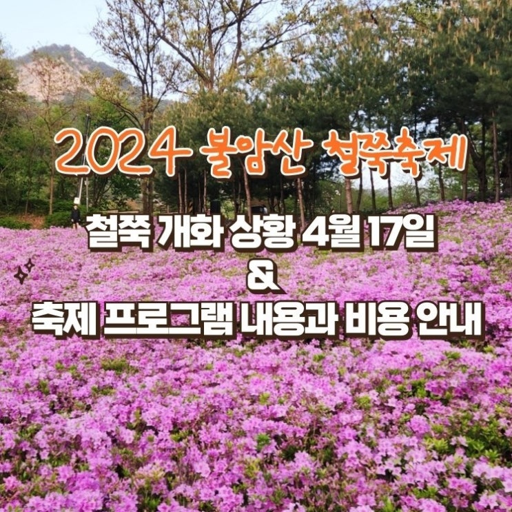  불암산 철쭉동산 개화 상황 및 프로그램 안내