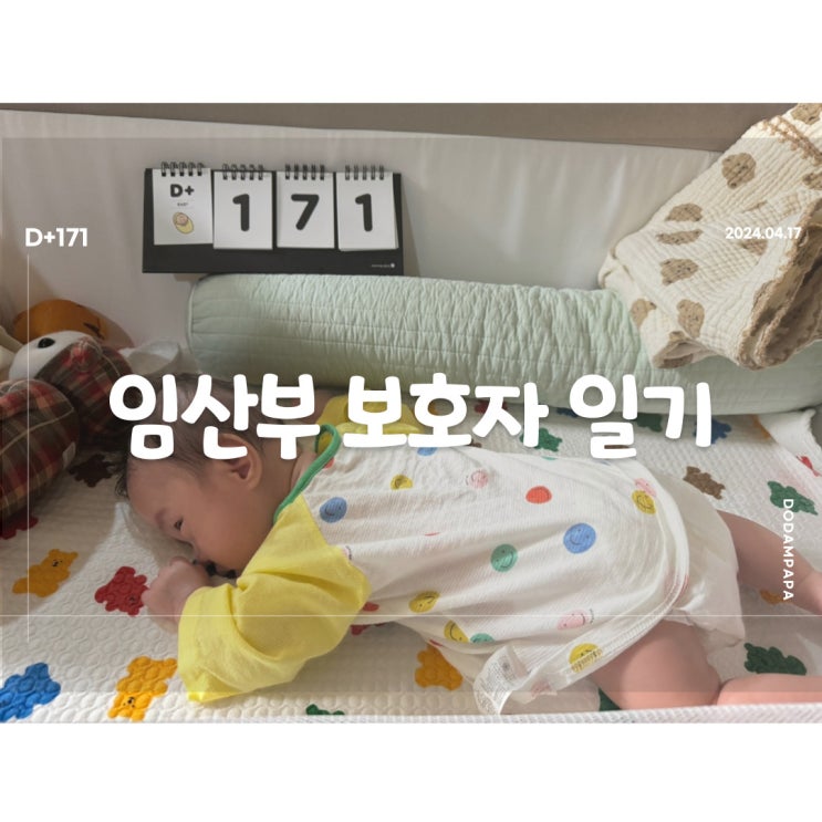 잘 먹지 않아 몸무게가 빠지는 도담이 D+171 잘 먹지 않아 몸무게가 빠지는 도담이 D+171