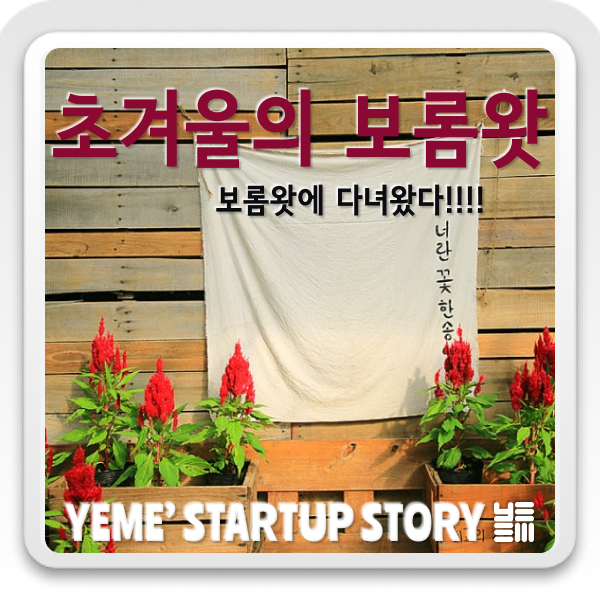  초겨울의 보롬왓에 다녀왔다.