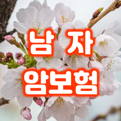  남자 암보험 가입의 필요성과 가격 비교 방법 알아보기