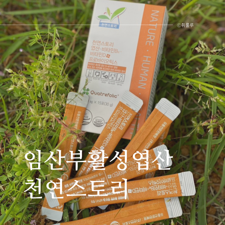  임산부활성엽산 추천 임신준비 필수 영양제 천연스토리활성멀티엽산