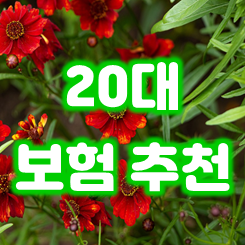  20대보험추천, 꼭 가입해야 할 보험 우선순위와 필요성 및 가격 비교 시 주의사항