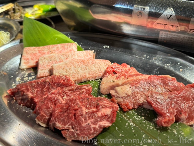  후쿠오카 야키니쿠 맛집 니쿠리키야 텐진 술집 예약 쿠폰 주류 무제한 한국어 가능 직원 하피볼 나깡