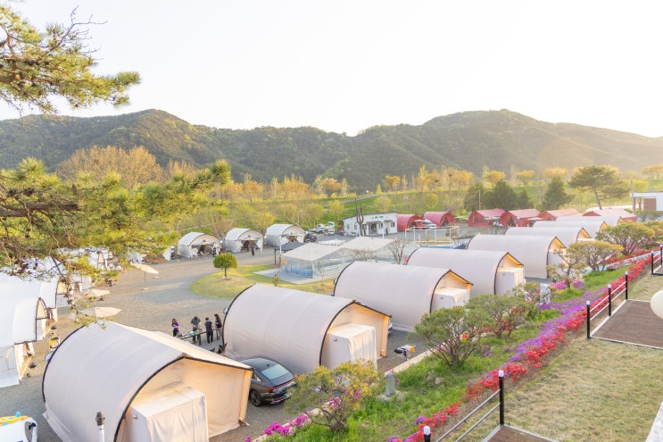  [경남 창녕 캠핑장] 낙동강 위더스 럭셔리 글램핑