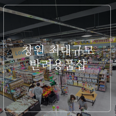  창원 애견용품 페밀리아 진해점 가장 크고 저렴한곳