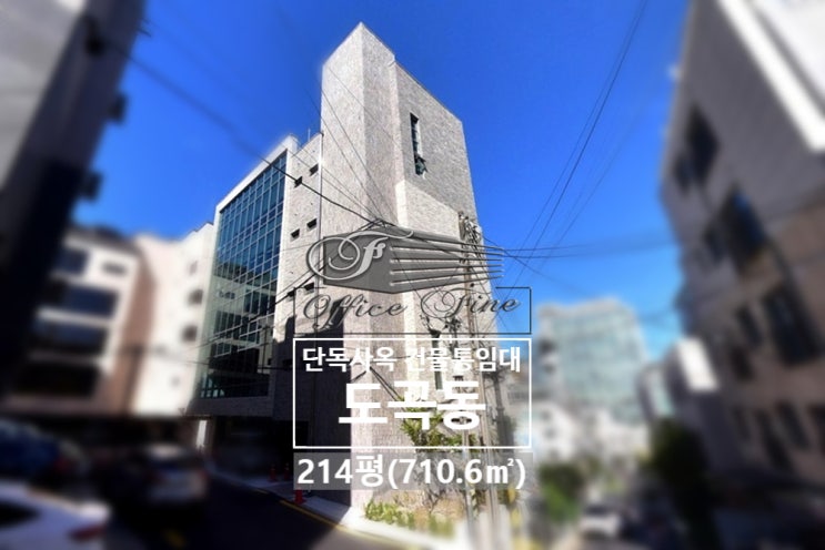  도곡동 내부 기둥 없는 양재역 신축건물 통임대 214평(710.6)