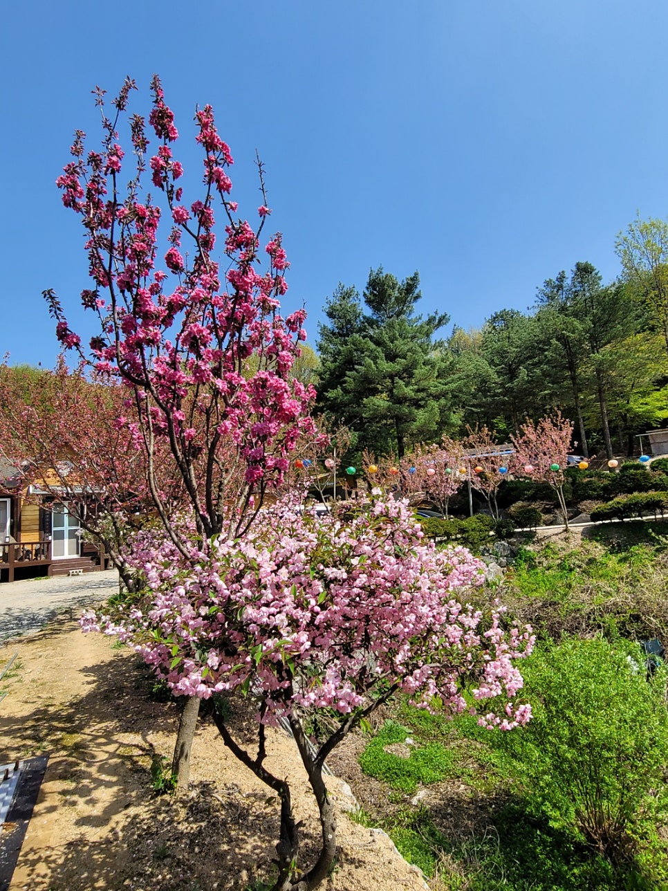 바위골 사진 6