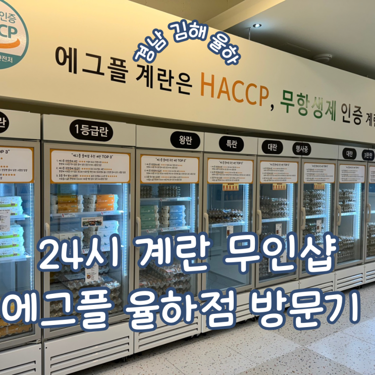 경남 김해 율하 24시간 무인 계란 판매점 에그플 김해율하점 방문기