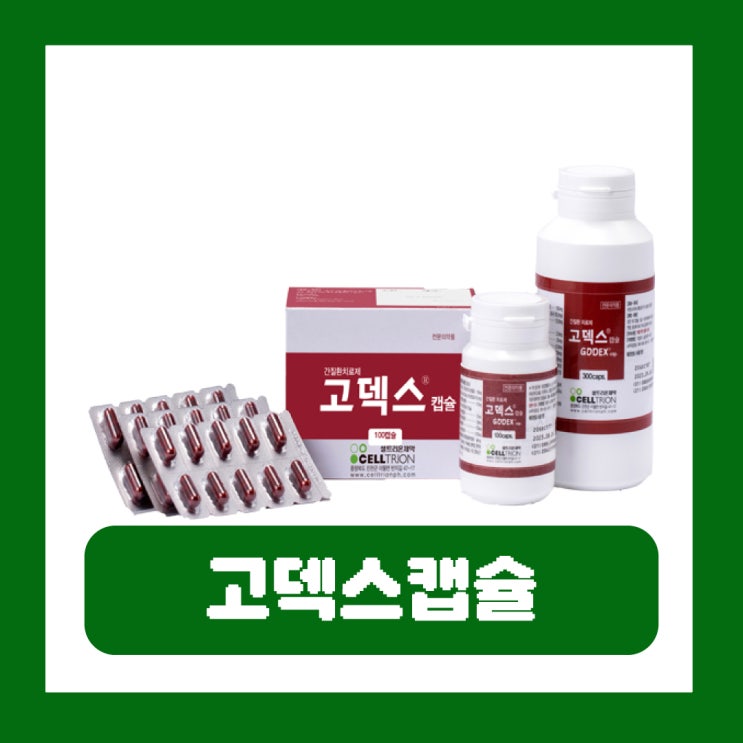  고덱스캡슐 가격 부작용 간질환치료제 성분 효과