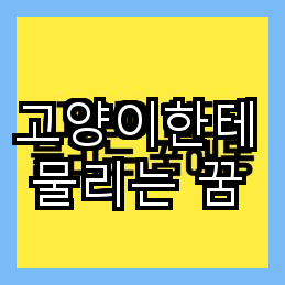 고양이에게 물린 꿈 해몽 손가락에 피가 나다