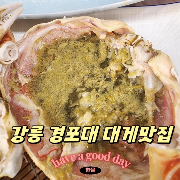  강릉 경포대 횟집 영덕대게 맛집 경기해변횟집