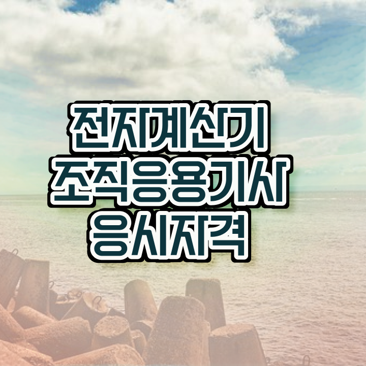  전자계산기조직응용기사 취득자격 관련학위 없어도 온라인으로 5달만에 완성한 노하우
