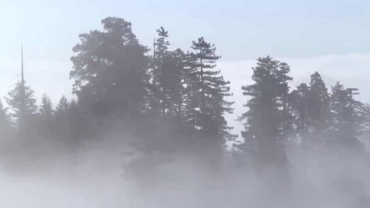  병원동행매니저 자격증 , 병원동행사 급여 및 전망 등 자격증 취득 후기