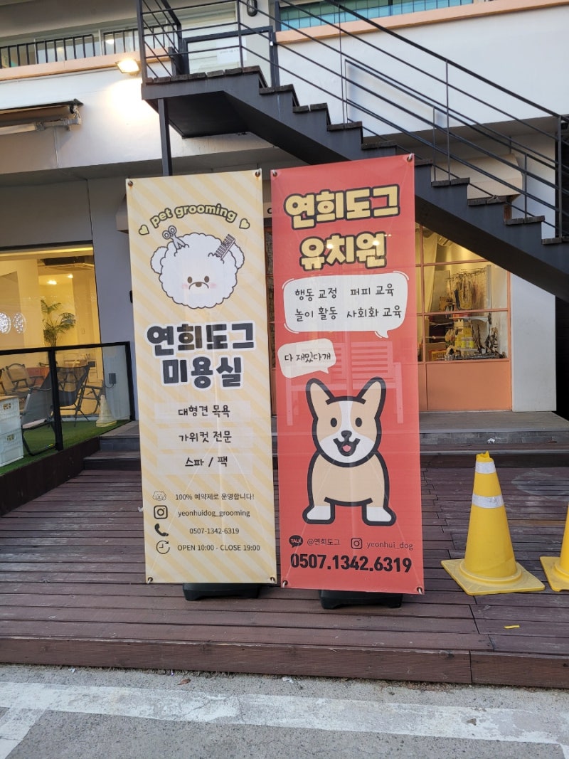 사진 9